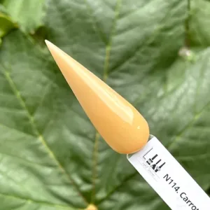 N114. Carrot Juice